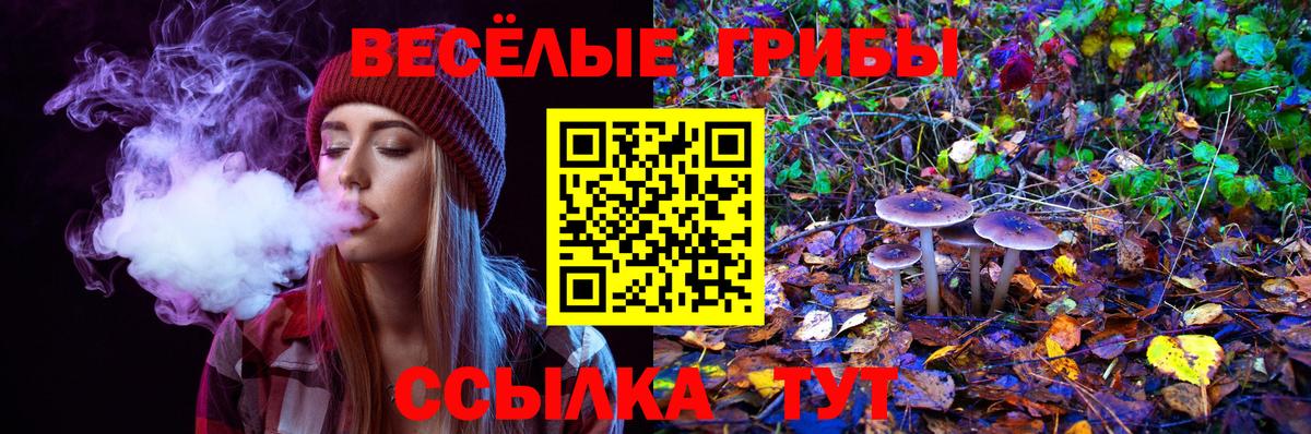 Псилоцибиновые грибы Psilocybine cubensis  Вход с VPN  Сибай 